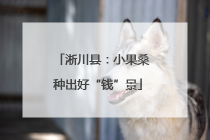 淅川县：小果桑种出好“钱”景