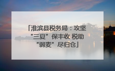 淮滨县税务局：攻坚“三夏”保丰收 税助“弱麦”尽归仓