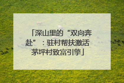 深山里的“双向奔赴”：驻村帮扶激活茅坪村致富引擎