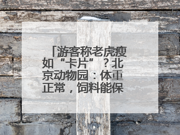 游客称老虎瘦如“卡片”？北京动物园：体重正常，饲料能保障营养需求