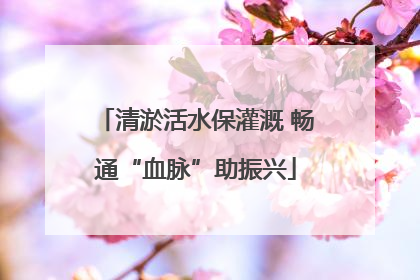 清淤活水保灌溉 畅通“血脉”助振兴
