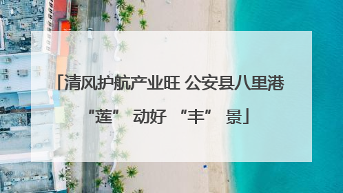 清风护航产业旺 公安县八里港 “莲” 动好 “丰” 景
