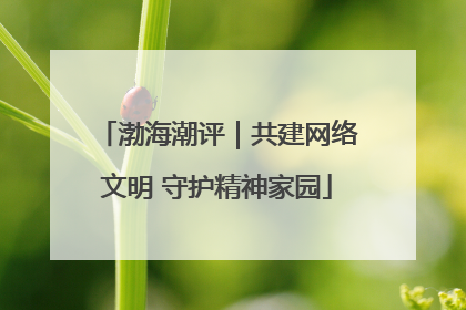 渤海潮评｜共建网络文明 守护精神家园