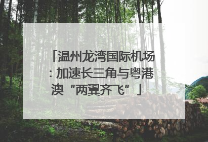 温州龙湾国际机场：加速长三角与粤港澳“两翼齐飞”