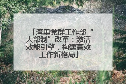 湾里党群工作部“大部制”改革：激活效能引擎，构建高效工作新格局