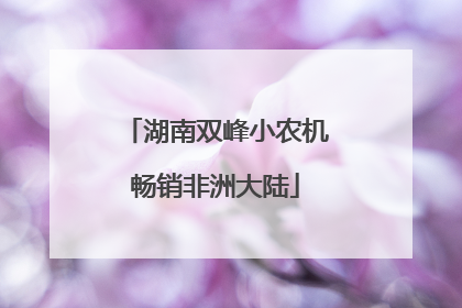 湖南双峰小农机畅销非洲大陆