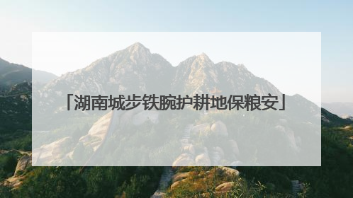 湖南城步铁腕护耕地保粮安