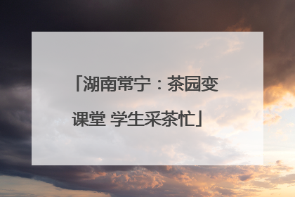 湖南常宁：茶园变课堂 学生采茶忙