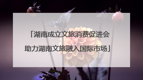 湖南成立文旅消费促进会 助力湖南文旅融入国际市场