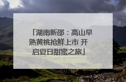 湖南新邵：高山早熟黄桃抢鲜上市 开启夏日甜蜜之旅