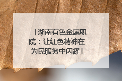 湖南有色金属职院：让红色精神在为民服务中闪耀