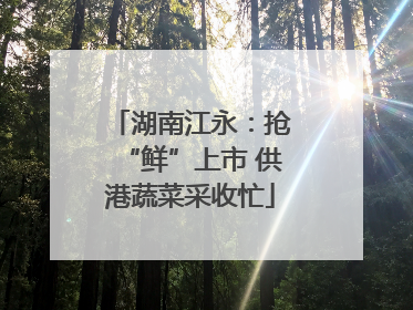 湖南江永：抢“鲜”上市 供港蔬菜采收忙