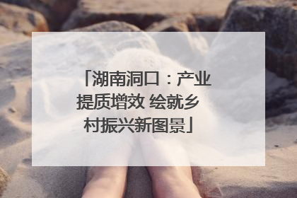湖南洞口：产业提质增效 绘就乡村振兴新图景