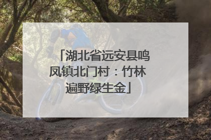湖北省远安县鸣凤镇北门村：竹林遍野绿生金