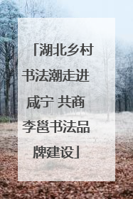湖北乡村书法潮走进咸宁 共商李邕书法品牌建设