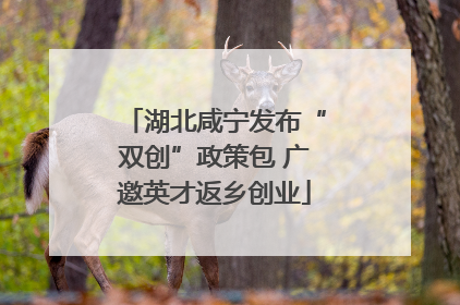 湖北咸宁发布“双创”政策包 广邀英才返乡创业