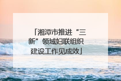 湘潭市推进“三新”领域妇联组织建设工作见成效