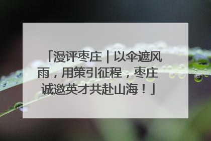 漫评枣庄｜以伞遮风雨，用策引征程，枣庄诚邀英才共赴山海！