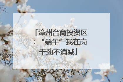 漳州台商投资区：“端午”我在岗 干劲不消减