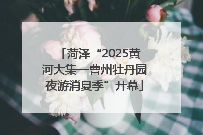 菏泽“2025黄河大集—曹州牡丹园夜游消夏季”开幕