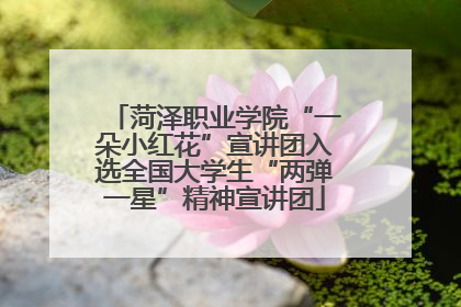 菏泽职业学院“一朵小红花”宣讲团入选全国大学生“两弹一星”精神宣讲团