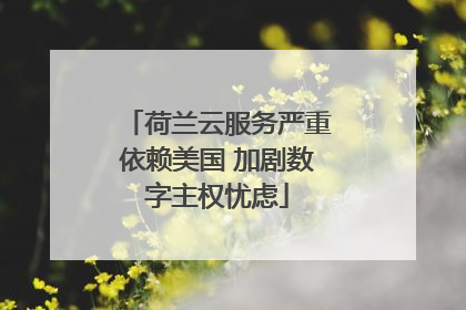 荷兰云服务严重依赖美国 加剧数字主权忧虑