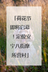 荷花节即将启幕！定位安宁八街摩所营村