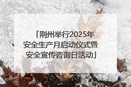 荆州举行2025年安全生产月启动仪式暨安全宣传咨询日活动