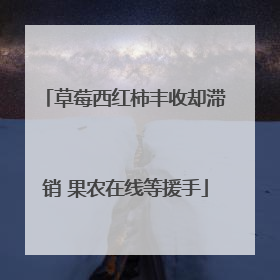 草莓西红柿丰收却滞销 果农在线等援手
