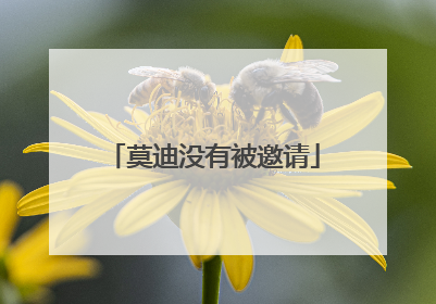 莫迪没有被邀请