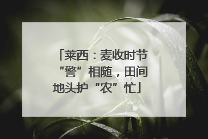 莱西：麦收时节“警”相随，田间地头护“农”忙