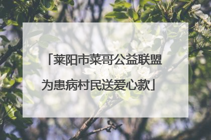 莱阳市菜哥公益联盟为患病村民送爱心款
