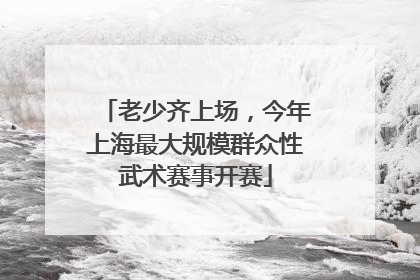 老少齐上场，今年上海最大规模群众性武术赛事开赛