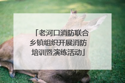 老河口消防联合乡镇组织开展消防培训暨演练活动