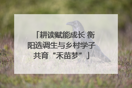耕读赋能成长 衡阳选调生与乡村学子共育“禾苗梦”