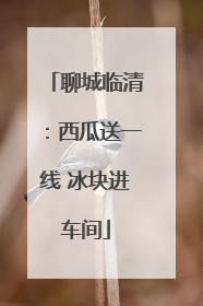 聊城临清：西瓜送一线 冰块进车间