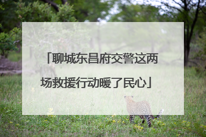 聊城东昌府交警这两场救援行动暖了民心
