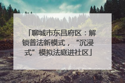 聊城市东昌府区：解锁普法新模式，“沉浸式”模拟法庭进社区