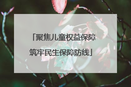 聚焦儿童权益保障 筑牢民生保障防线