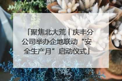 聚焦北大荒丨庆丰分公司举办企地联动“安全生产月”启动仪式