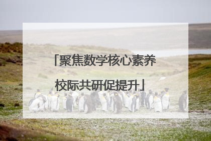 聚焦数学核心素养 校际共研促提升