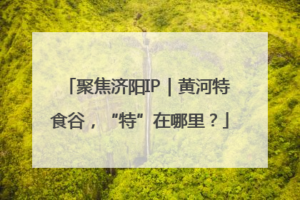 聚焦济阳IP｜黄河特食谷，“特”在哪里？