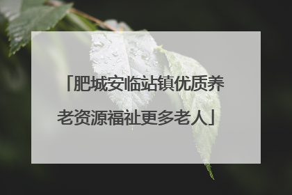 肥城安临站镇优质养老资源福祉更多老人