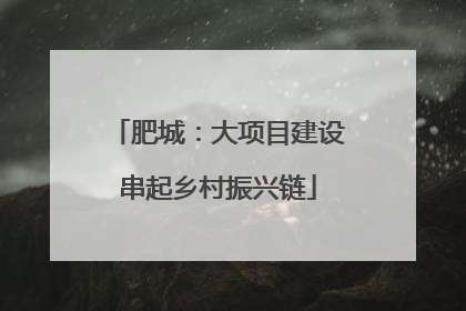 肥城：大项目建设串起乡村振兴链