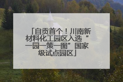 自贡首个！川南新材料化工园区入选“一园一策一图”国家级试点园区