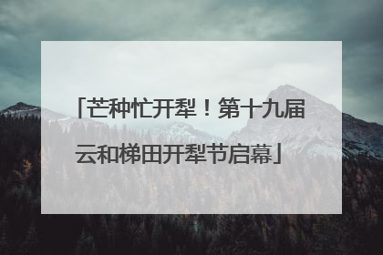 芒种忙开犁！第十九届云和梯田开犁节启幕