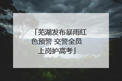 芜湖发布暴雨红色预警 交警全员上岗护高考