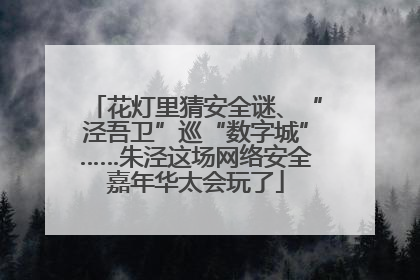 花灯里猜安全谜、“泾吾卫”巡“数字城”……朱泾这场网络安全嘉年华太会玩了