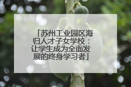 苏州工业园区海归人才子女学校：让学生成为全面发展的终身学习者