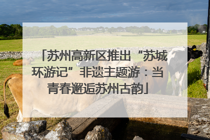 苏州高新区推出“苏城环游记”非遗主题游：当青春邂逅苏州古韵